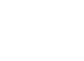 Prolink Energy Solutions Ltd